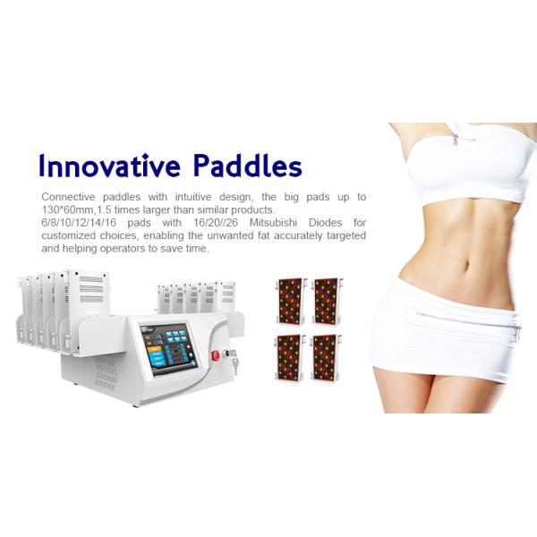 Ce Approved 4d Lipo Laser Slimming Machine With 6/8/10/12/14/16 Pads