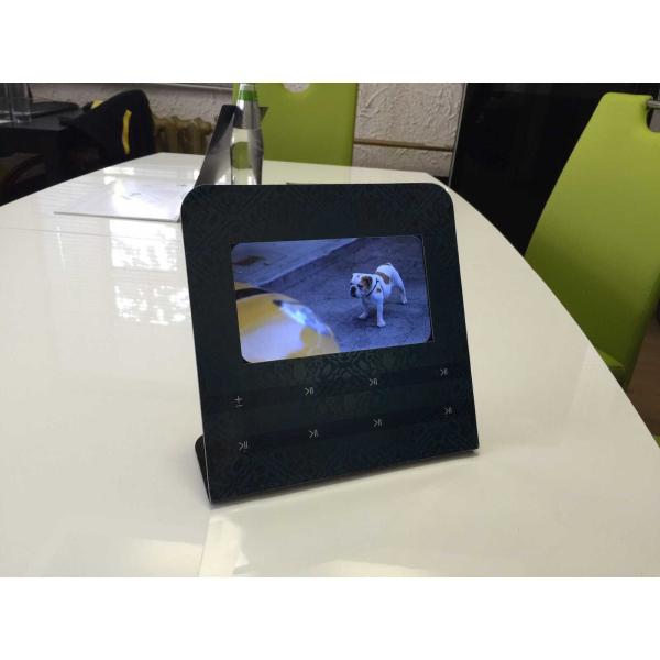 VIF Unique 7 Inch LCD Screen Acrylic Stand Display Brochure Video For Shows