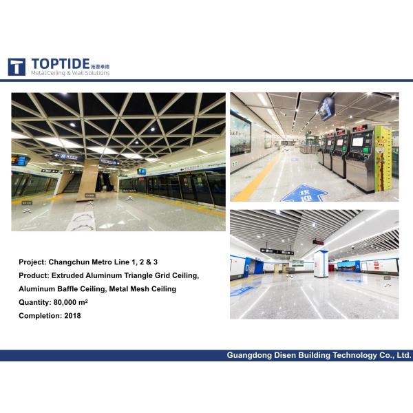 Architectural 600x600 2.0mm Fireproof Ceiling Board for office