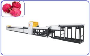 Wholesale Pitaya Intelligent Fruit Sorting Machine Computer Control For 2 - 3 T/H from china suppliers
