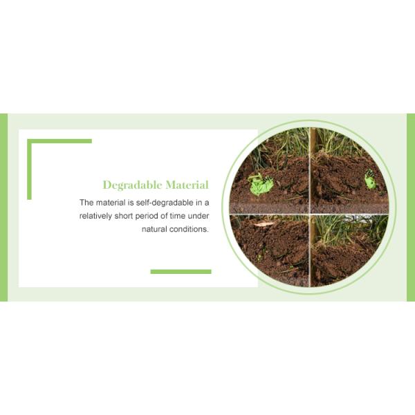 Beige Customized Size Compostable Carrier Bags With Eco Friendly Material