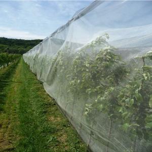 Wholesale Insect Bird Barrier Netting Mesh for Vegetables Fruit Flower from Damage Ventilate Durable and Reused Perfect for Garden from china suppliers