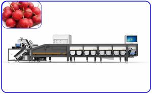 Wholesale Hawthorn Sorting And Grading Equipment 6.3KW High Speed 6 Channel from china suppliers