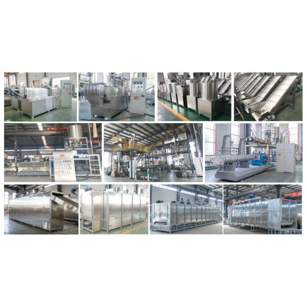 Automatic Fish Feed Processing Machinery With SGS Certification