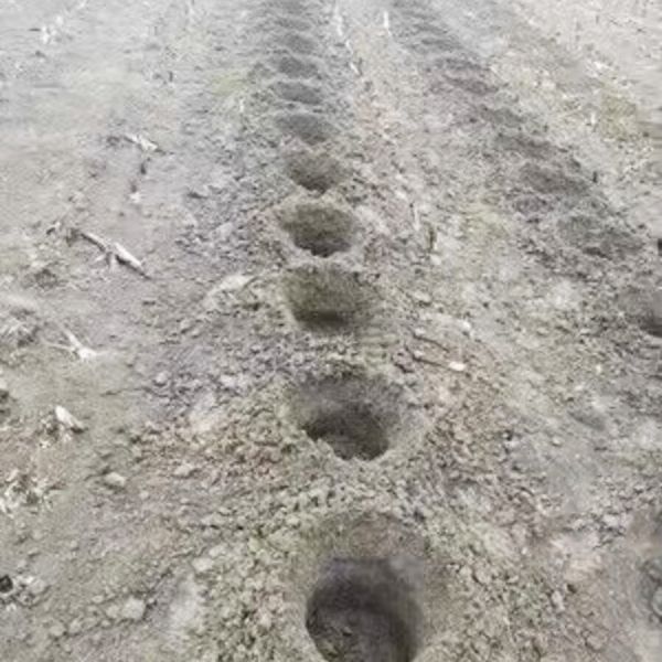 OEM Auger Boring Machine commercial digging machine sand digging machine Different Size Auger Earth Boring Machine Tree Hole Digging Machine Suitable