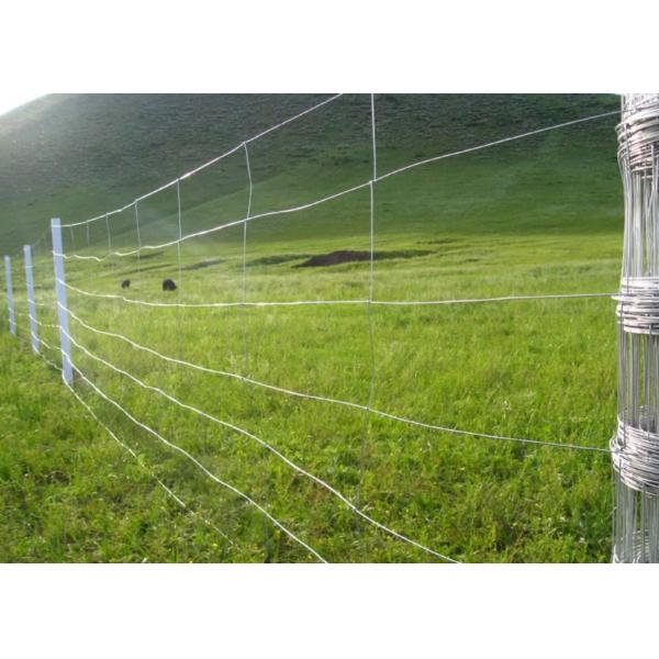 Heavily Wire Mesh Fencing Hot Dip Galvanized Steel Field Fencing