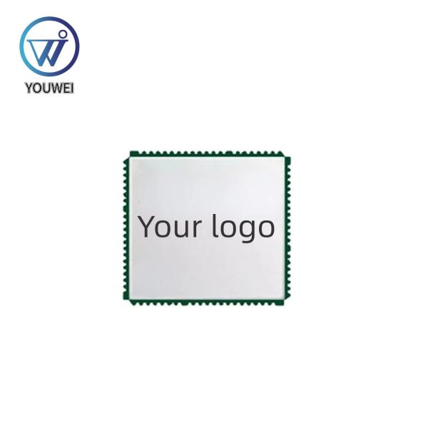 High Accuracy Customized GPS Receiver Module For Bracelet Ambulance