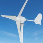 12V/24V 300W 400W Residential Horizontal Windmill/Wind Generator/Wind Power