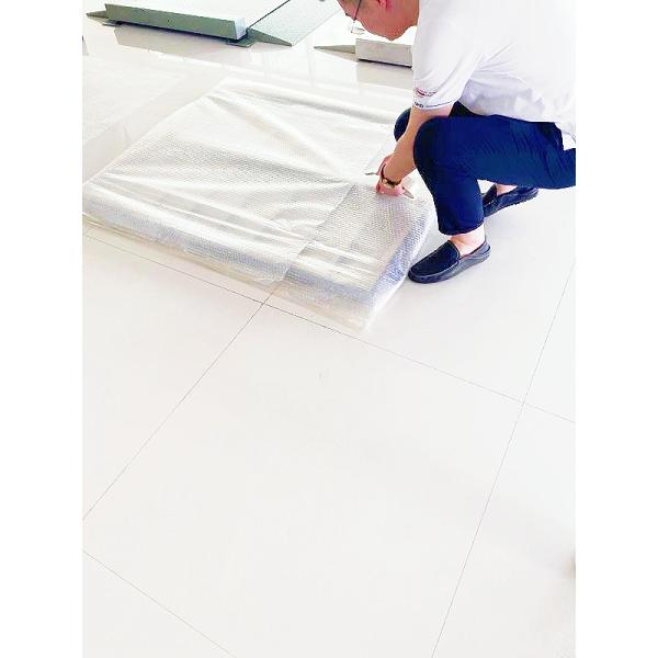 Customized Color Livestock Weighing Scales for Farm Electronic Floor Animal Scale 300kg Capacity