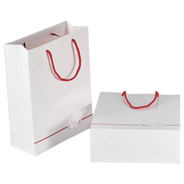 Custom Order Acceptable Luxury Logo Printed Shopping Bag for Beautiful Holiday Gift