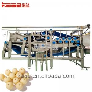 Wholesale 0.5 - 20T/H Industrial Concentrated Juice Processing Line Baobab Juice Processing Machine from china suppliers