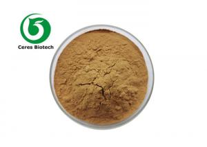 Wholesale 100% Pure Natural Xylarianigriper ( Kl. ) Sacc. Wulingshen Extract Powder from china suppliers