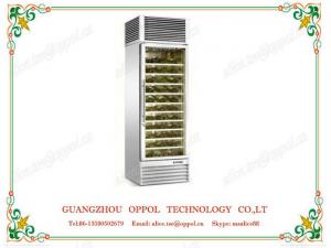 Wholesale OP-415 Single Glass Door R134A Refrigerant Red Wine Display Chiller from china suppliers