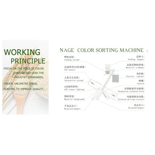 Food Industry 2kw Intelligent CCD Peanut Color Sorter
