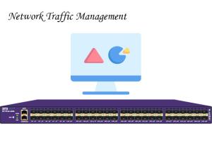 Wholesale NetInsight™ Visibility Network Traffic Management Optimize your Network Stronger from china suppliers