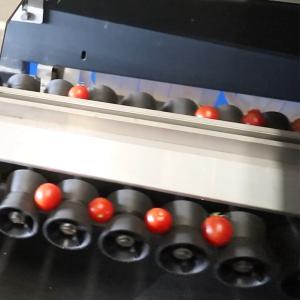 Wholesale 8 Lanes Stainless Steel Mechanical Intelligent Sorting Grading Machine For Cherry Tomatoes from china suppliers