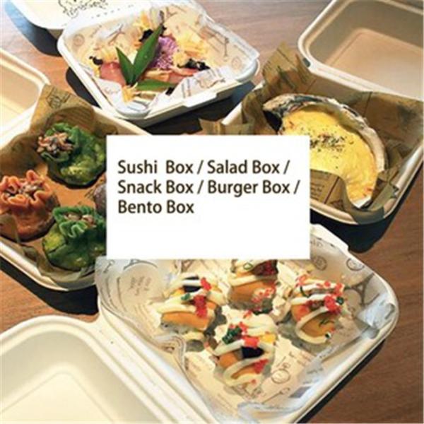 9 Inch 3 Compartment Biodegradable Takeout Food Containers