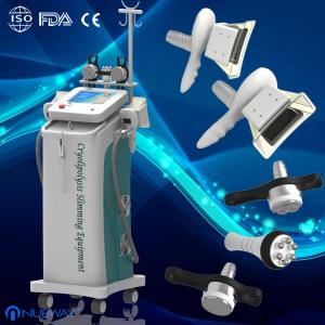 China Fat Freezing fat removal weight loss cryolipolysis slimming machine for lossing fat clinic on sale