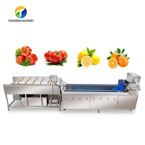 Quality Multifunction Fruit And Vegetable Processing Line Parallel Brush Machine for sale