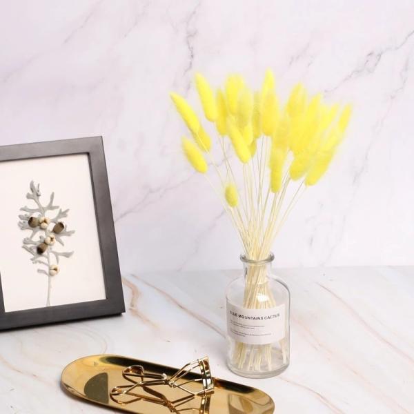 Wholesale cheap preserved dried flower 150 pcs /bunch dried rabbit tail grass lagurus ovatus