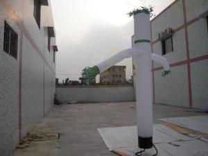 Wholesale Customized 3m Attractive Advertising Air Dancer Inflatable Single Leg from china suppliers