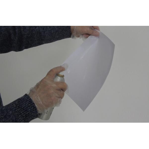 C005 Ninhydrin spray