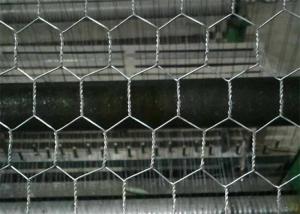 Wholesale Electro Galvanized After Weaving Hexagonal Chicken Wire Mesh Netting from china suppliers