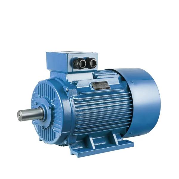 Quality Stator Slip Ring And Squirrel Cage Induction Motor 3 Phase 2 Pole 4 Pole for sale