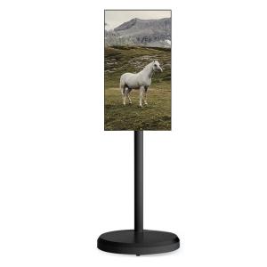 21.5 Inch Android Smart Digital Signage and Display Floor Kiosk LCD Advertising Display