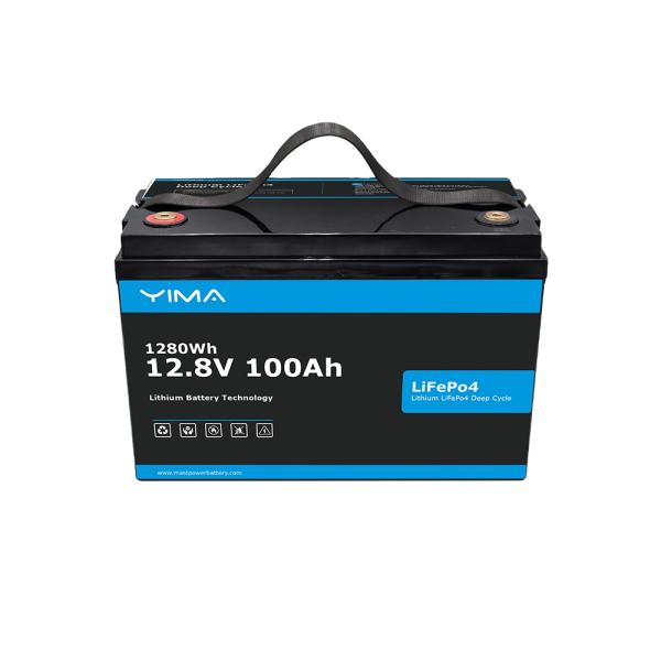 Customized 24V Lifepo4 Battery Pack 100Ah With 100A BMS For Golf Cart