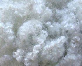 Wholesale Dyed Elongation Hollow Siliconized Polyester Fibre From Virgin Chips from china suppliers