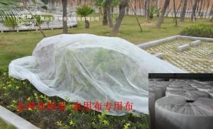 Wholesale 100% Polypropylene Agriculture Non Woven Fabric Weed Control Ground Cover Net Mesh Cloth from china suppliers