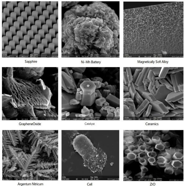 Magnification 8X-800000X Scanning Electron Microscope 1.5-3nm Resolution BSE