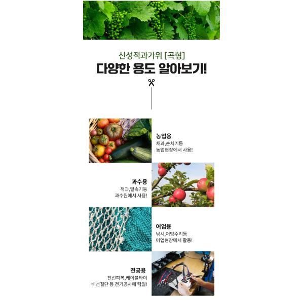 SINSEUNG SB307 Ultra Sharp Garden Pruning Shears Featuring A High-Quality Carbon Steel Blade