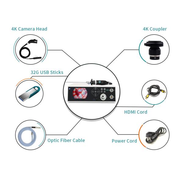 Quality LED 100W 4K Endoscopy Camera System Built In Light Source For Laparoscope for sale