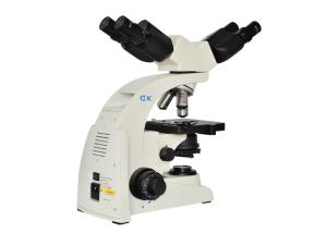 Wholesale UOP UB104i Multi Viewing Microscope Edu Science Dual Viewer Microscope from china suppliers