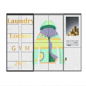 Wholesale Winnsen Smart Laundry Cabinet Wash Locker with Control Management System from china suppliers
