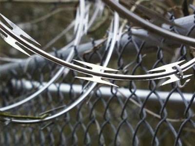Concertina Razor Coils On Chain Link Fence