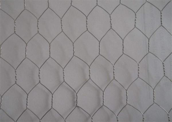 Quality 1/2in Lightweight Chicken Hexagonal Wire Mesh Hexagonal 2 Inch Mesh Poultry Netting for sale
