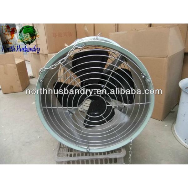 Broiler Poultry Feed, India Broiler Poultry Feed Suppliers