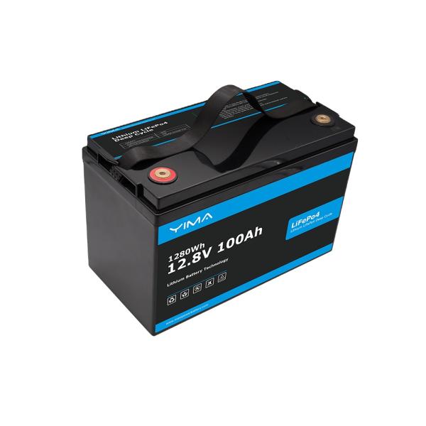 Customized 24V Lifepo4 Battery Pack 100Ah With 100A BMS For Golf Cart