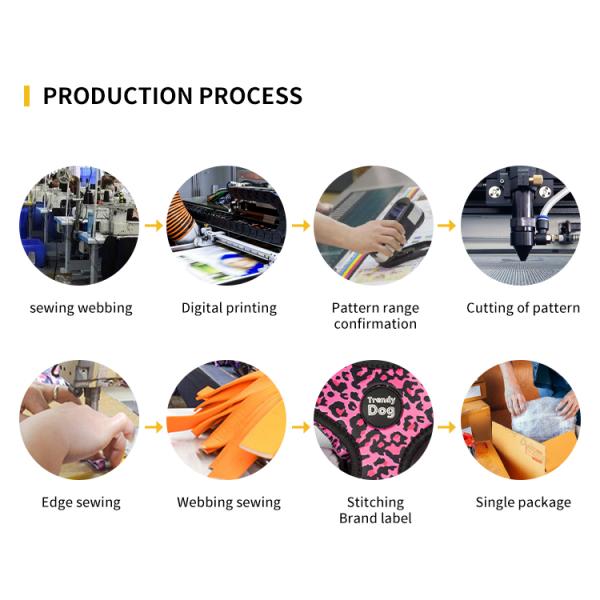 Customized Logo IPX8 Waterproof Adjustable Dog Light Up Tag for Night Walking Flashing Glowing Luminous USB Rechargeable