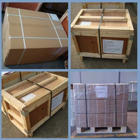 Cence WTL-10K Micro Centrifuge 10000r/min 8x0.2ml PCR Tubes