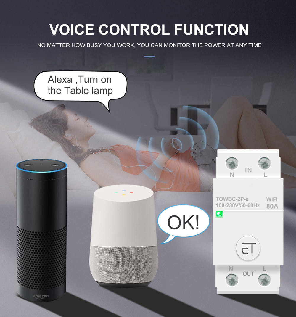 Din Rail WIFI Circuit Breaker Switch Remote Voice Control by Ewelink APP for Home mcb timer 110V 220V 380V