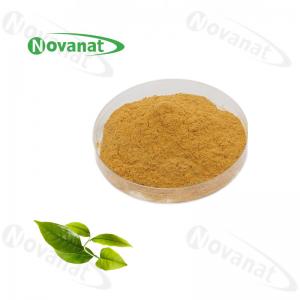 Wholesale Camellia Sinensis Instant Green Tea Powder Extract 20% -50% Polyphenols / Food Beverage from china suppliers
