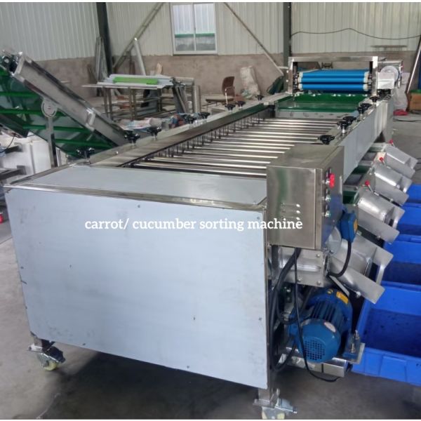 Cucumber Calibration, Cucumber Sorting Machine, Cucumber Grading Machine