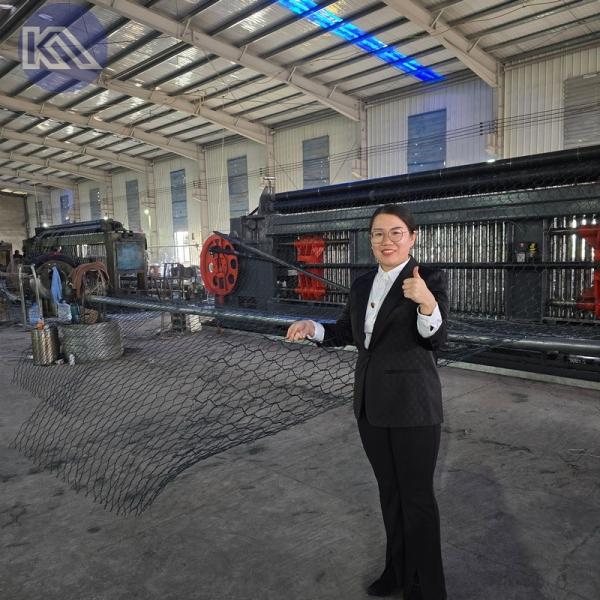 10 X 12 cm 3.05mm Gabion Basket and Heavy Hexagonal Gabion Box Wire Netting Retaining Wall for Wire Fencing