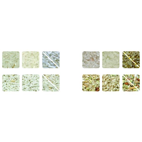 Intelligent Rice Color Sorter Machine , 2T/h Rice Separator Machine