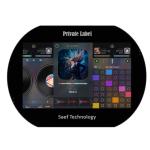 China Factory 10.1 Inch TFT LCD Display 1280x800 Pixels IPS Type LVDS With CTP