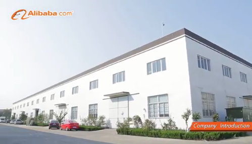 Metallized Film for Multiple Extrusion Processing Type in Transparent Clear Film